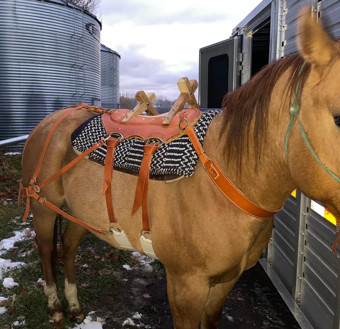 Custom Pack-Fitter Pack Saddle