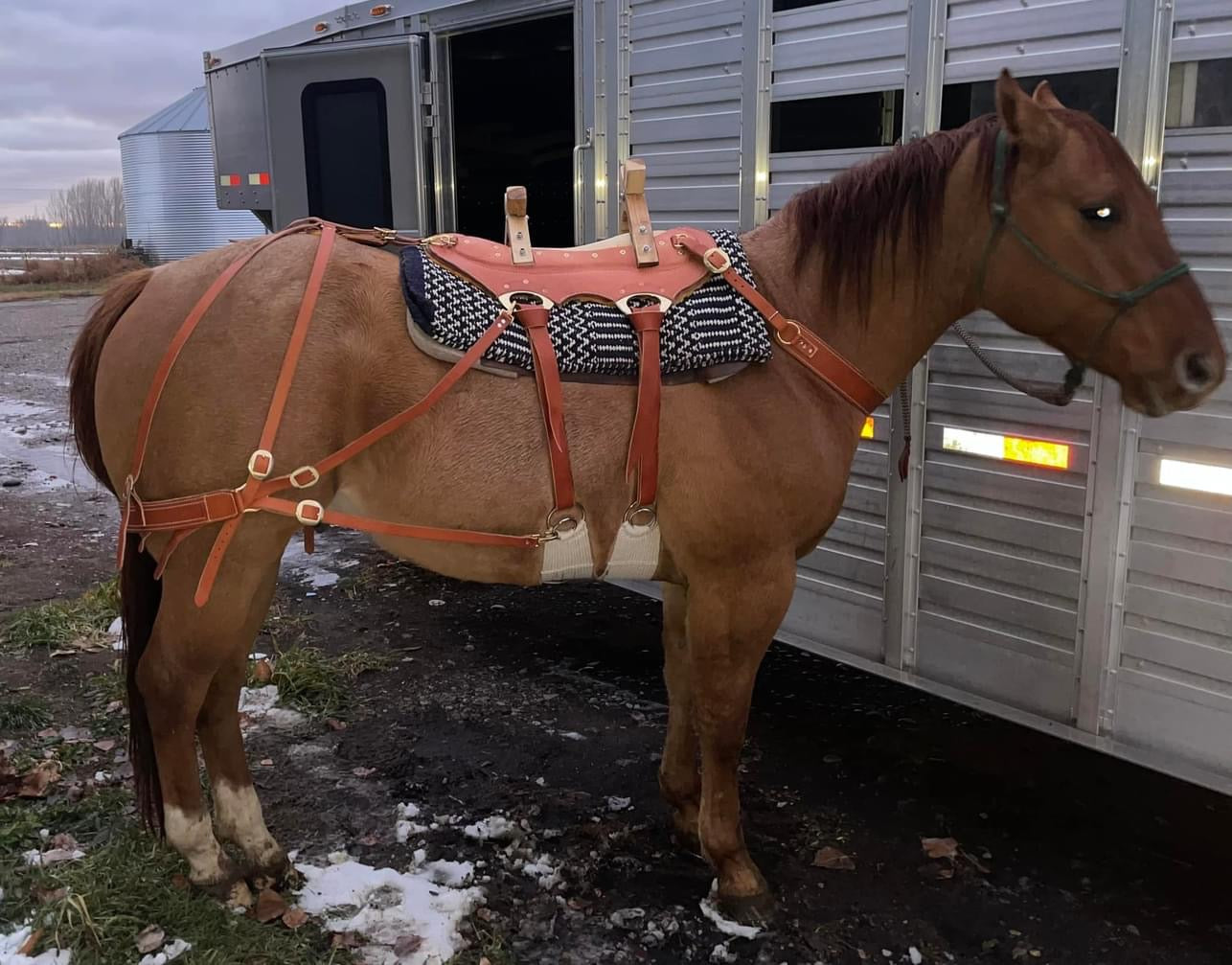 Custom Pack-Fitter Pack Saddle