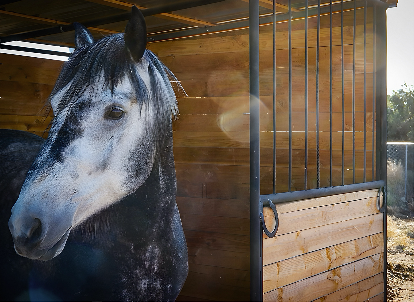 Portable Lodging Ranch Stall